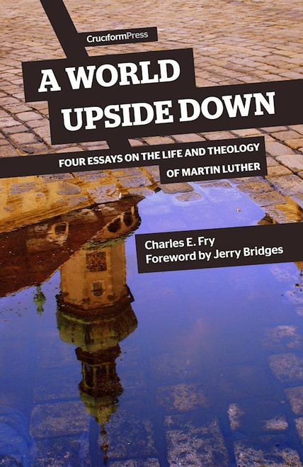 A World Upside Down by Fry Charles E