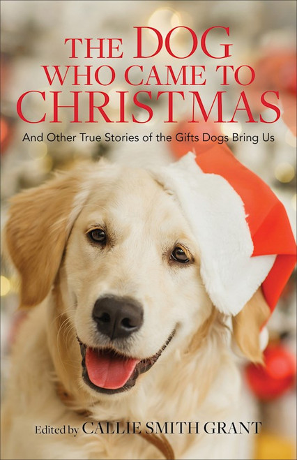 The Dog Who Came To Christmas by Grant Callie Smith