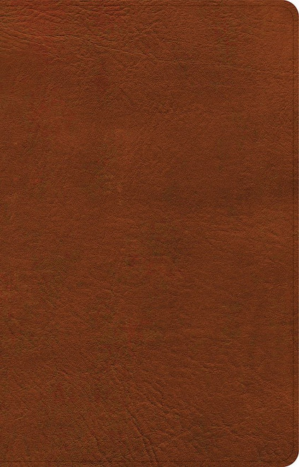 NASB 2020 Large Print Personal Size Reference Bible-Burnt Sienna LeatherTouch Indexed by Holman Bible