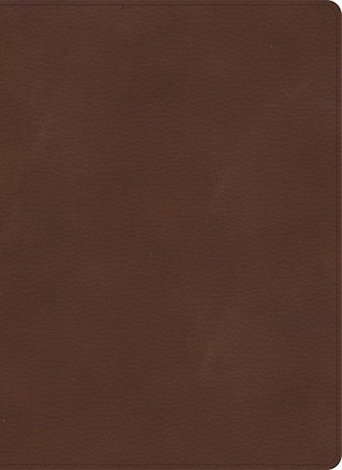 KJV Single-Column Wide-Margin Bible-Brown LeatherTouch by Holman Bible