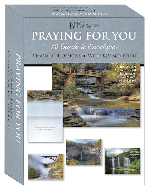 Card-Boxed-Shared Blessings-Praying For You-Waterfalls (Box Of 12) by Crown Point