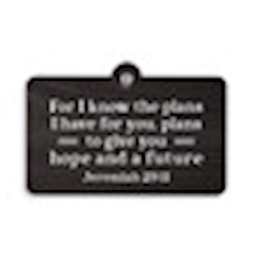 Suction Sign-For I Know The Plans... (5" x 3.5") by P Graham Dunn