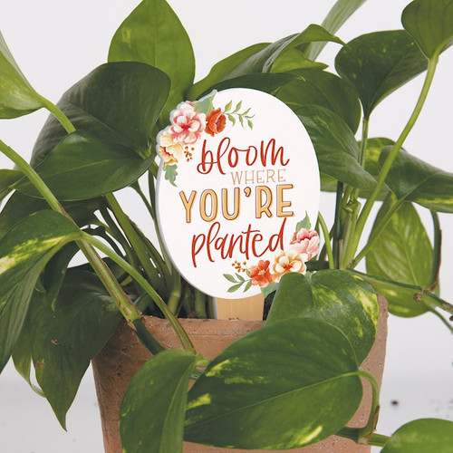 Outdoor Decor-Plant Pal-Bloom Where You're Planted (2.75 x 6.5) by P Graham Dunn