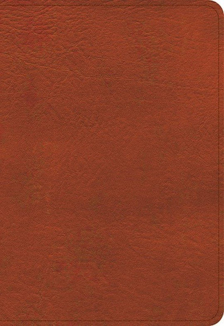 KJV Large Print Compact Reference Bible-Burnt Sienna LeatherTouch by Holman Bible