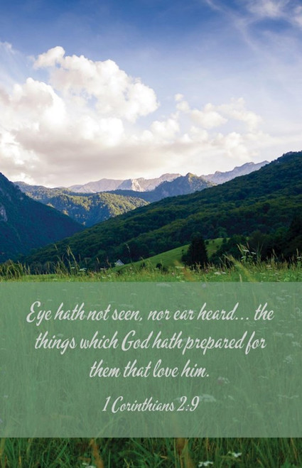 Bulletin-The Things/Eye Hath Not Seen Nor Ear Heard... (Pack Of 100) by Broadman & Holman