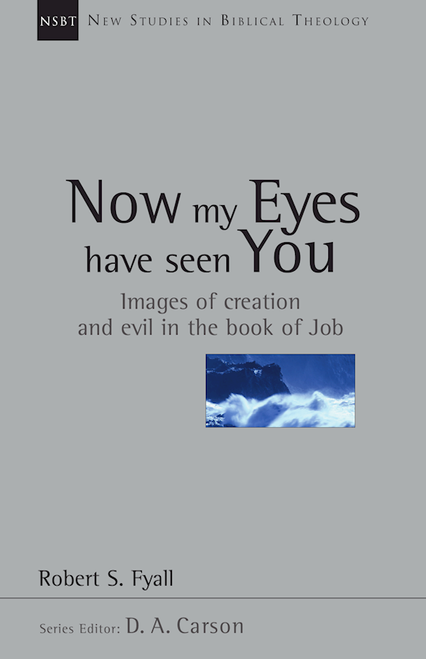 Now My Eyes Have Seen You by Fyall Robert