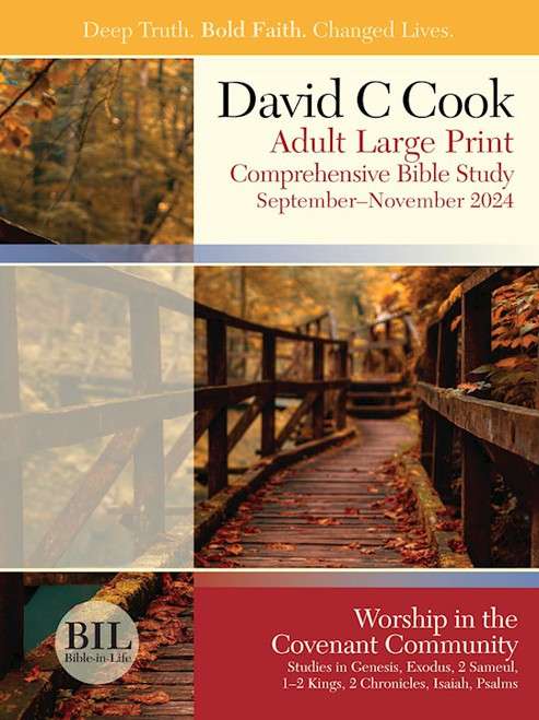 Bible-In-Life/Reformation Press Fall 2025: Adult Comprehensive Bible Study Large Print Student Book (#1087) by David C Cook
