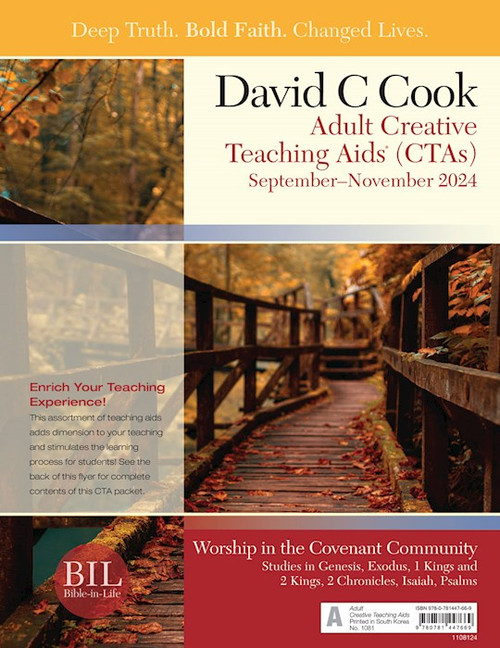 Bible-In-Life/Reformation Press Fall 2025: Adult Comprehensive Bible Study Creative Teaching Aids (#1081) by David C Cook