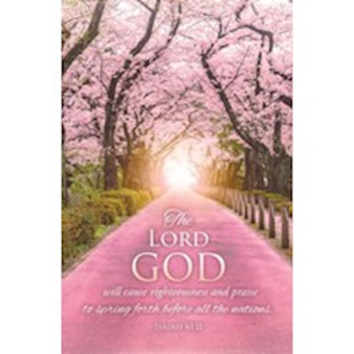 Bulletin-The Lord Will Cause Righteousness (Isaiah 61:11 KJV) (Pack Of 100) by Warner Press