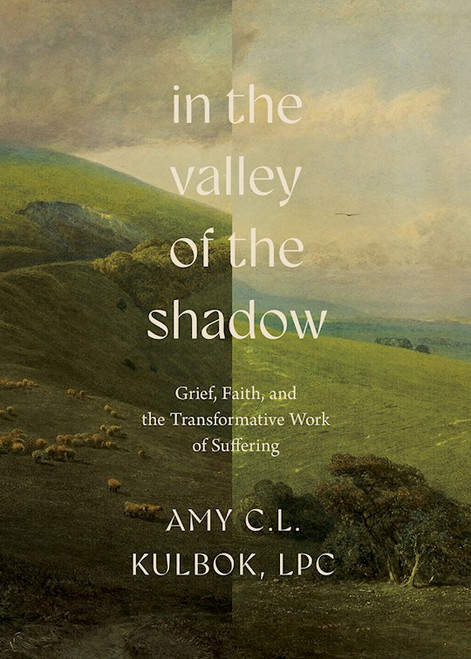 In The Valley Of The Shadow by Kulbok Amy C L