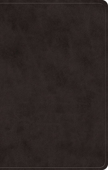 ESV Giant Print Value Personal Size Bible-Black TruTone by English Standard V