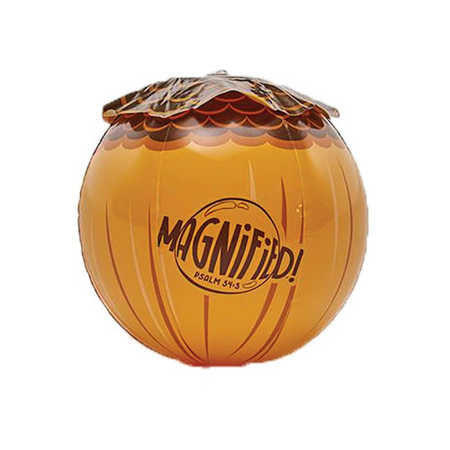 VBS-Magnified!: Inflatable Acorns (Pack Of 3) (2025) by LifeWay Kids