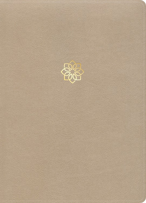 CSB Study Bible/Large Print Digital Study Edition-Gold LeatherTouch Indexed by CSB Bibles By Holm