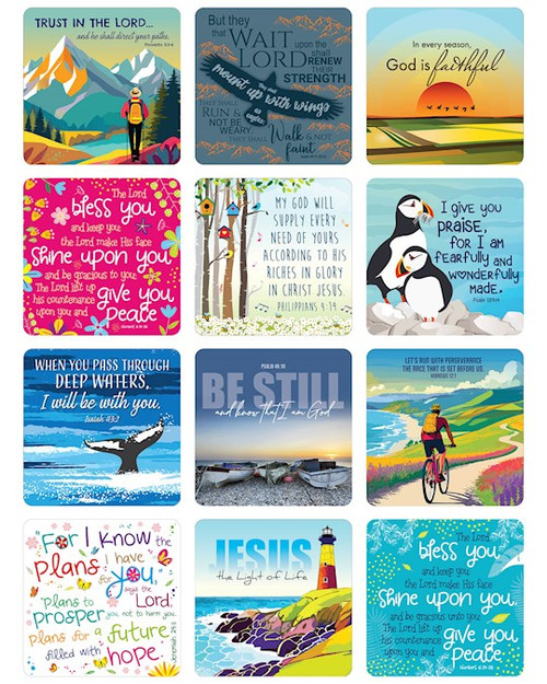 Coaster-Multipack of 12x6 free display available