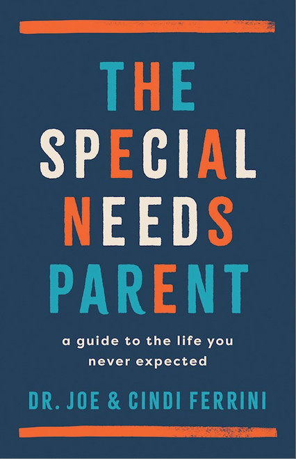 The Special Needs Parent by Ferrini Joe & Cind