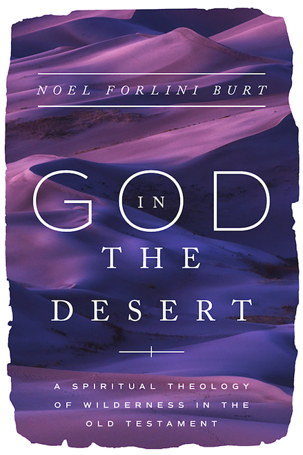 God In The Desert by Burt Noel Forlini
