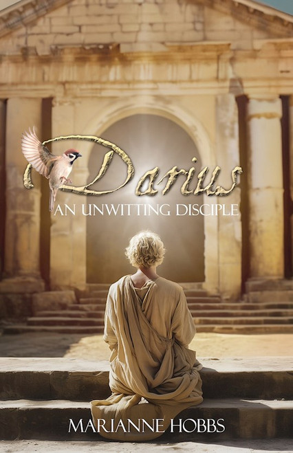 Darius by Hobbs Marianne