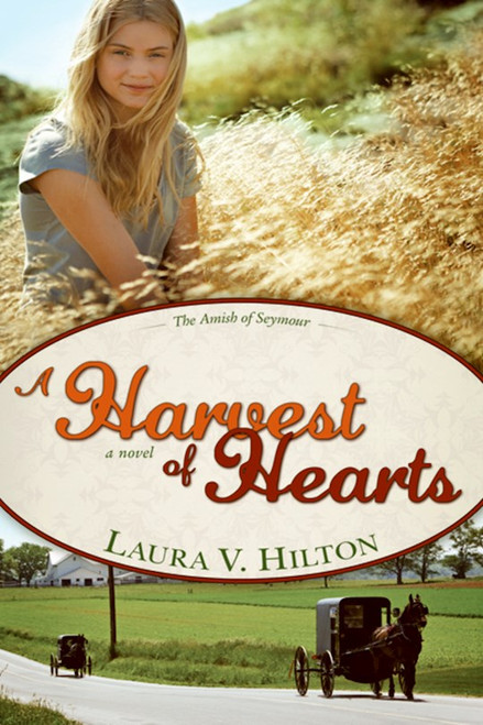 Harvest Of Hearts (Amish Of Seymour V2) by Hilton Laura