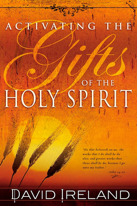 Activating The Gifts Of The Holy Spirit by Ireland David