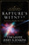 Rapture's Witness-LBS Collectors Edition-V1 by LaHaye/Jenkins