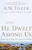 And He Dwelt Among Us by Tozer A W