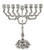 Menorah-Light Of World Hanukkah (9 Branched) (11.5")-Silver Plated (#42116) by Holy Land Gifts
