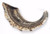 Shofar-Ram Horn Natural Curve (15"-17") (#1170) by Holy Land Gifts