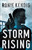 Storm Rising (The Book Of The Wars #1) by Kendig Ronie