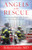 Angels To The Rescue by Lesslie Robert