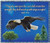 Throw Blanket-On Eagles Wings (Isaiah 40:31) (50" x 60")-Blue Chenille (#32157) by Holy Land Gifts