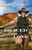Braced For Love (Brothers In Arms #1) by Connealy Mary