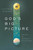 God's Big Picture by Roberts Vaughan