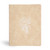 CSB Illustrator's Notetaking Bible Large Print Edition-Cream LeatherTouch by CSB Bibles By Holm