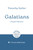 Galatians: Gospel matters by Keller Timothy