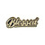 Lapel Pin-Blessed-Gold (1 1/8") (Pack Of 3) by Swanson