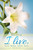 Bulletin-Because I Live/Easter Lilys (John 14:19) (Pack Of 100) by Abingdon Press