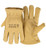 Gloves-3M Thinsulate-Man Of Faith-Tan (Large) by Dexsa