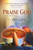 Bulletin-Praise God From Who All Blessings Come (Pack Of 100) by Abingdon Press