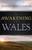 Awakening In Wales by Penn-Lewis Jessie