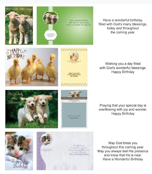 Card-Boxed-Shared Blessings-Birthday Fur And Feathers (Box Of 12) by Crown Point