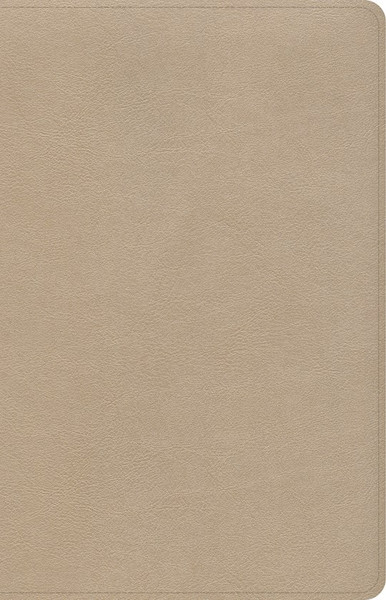 CSB Large Print Personal Size Reference Bible-Gold LeatherTouch by Holman Bible