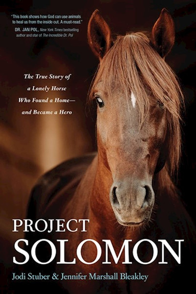 Project Solomon-Softcover by Stuber Jodi