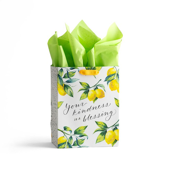 Gift Bag-Specialty-Your Kindness-Ruth 2:12-Medium by NCV Scripture