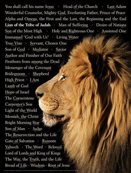 Chart-Lion Of The Tribe Of Judah Wall (Laminated Sheet) (19" x 26") by Rose Publishing