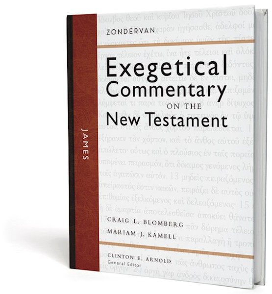 James (Zondervan Exegetical Commentary On New Testament V16) by Blomberg Craig L