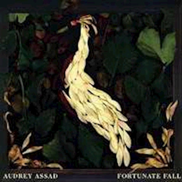 Audio CD-Fortunate Fall by Assad Audrey