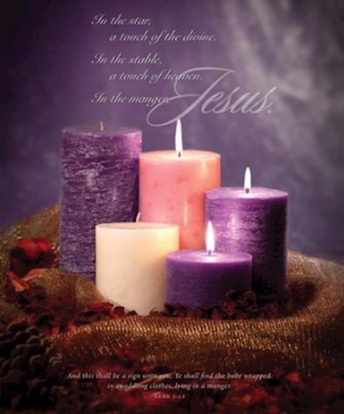 Bulletin-Advent Week 3: In The Manger Jesus (Luke 2:12)-Legal Size (Pack Of 100) by Warner Press