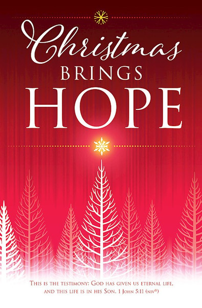 Bulletin-Christmas Brings Hope (1 John 5:11 NIV) (Pack Of 100) by Warner Press