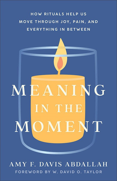 Meaning In The Moment by Abdallah Amy F Dav