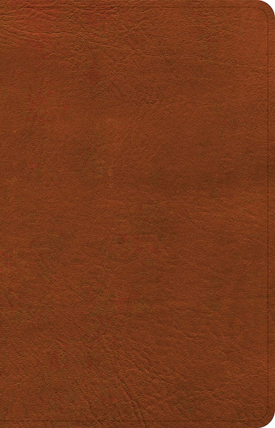 NASB 2020 Personal Size Bible-Burnt Sienna LeatherTouch by Holman Bible